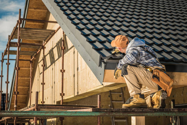 Best Gutter Installation and Roofing  in Tarkio, MO
