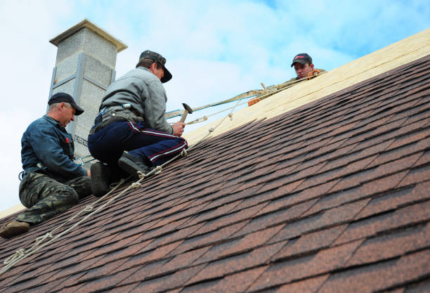 Quick and Trustworthy Emergency Roof Repair Services in Tarkio, MO
